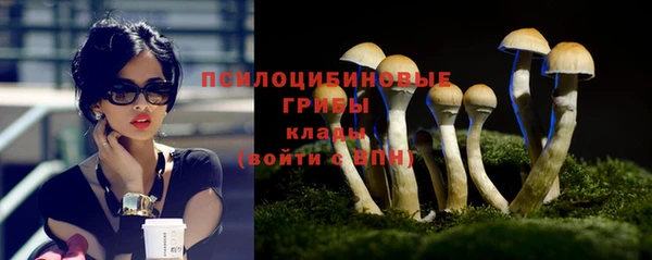 гидра Киреевск